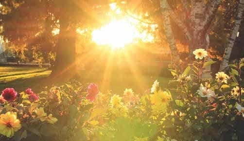 Water beading on Ameritech composite siding surface